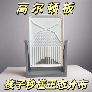 高尔顿板模型摆件玩具正态分布模型数学教具桌面摆件高中物理教学