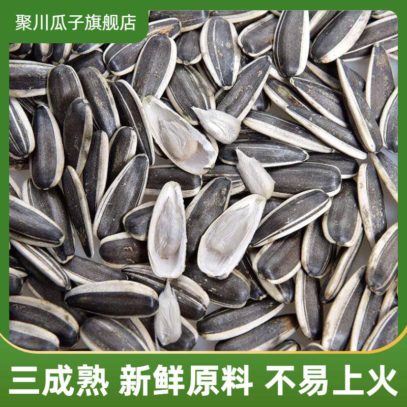 三成熟聚川生脆葵花籽脱水工艺瓜子500g袋装手选脱氧锁鲜炒货零食