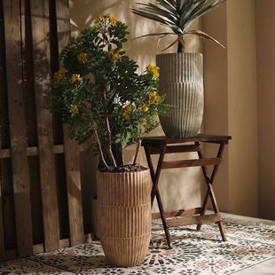 北欧风仿古大号水泥圆柱花盆镁泥落地客厅户外庭院绿植柠檬树盆栽