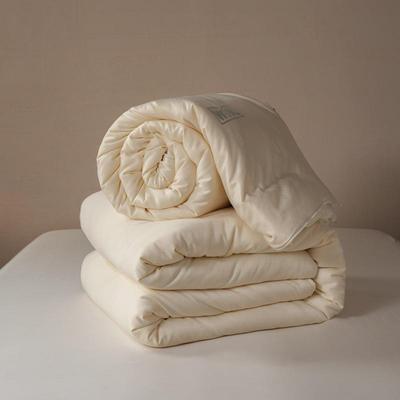 大提花蚕丝子母被芯二合一拉链款春秋被子加厚冬被四季通用可机洗