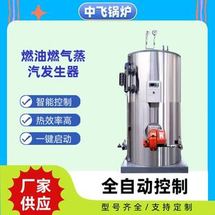 厂家供应燃油燃气蒸汽发生器低氮排放节能性能稳定工业生出蒸气快