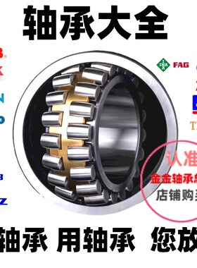 TWB TMB 汽车变速齿轮箱轴承NJ207E NUP307ENV NUP2209ZEN带卡簧