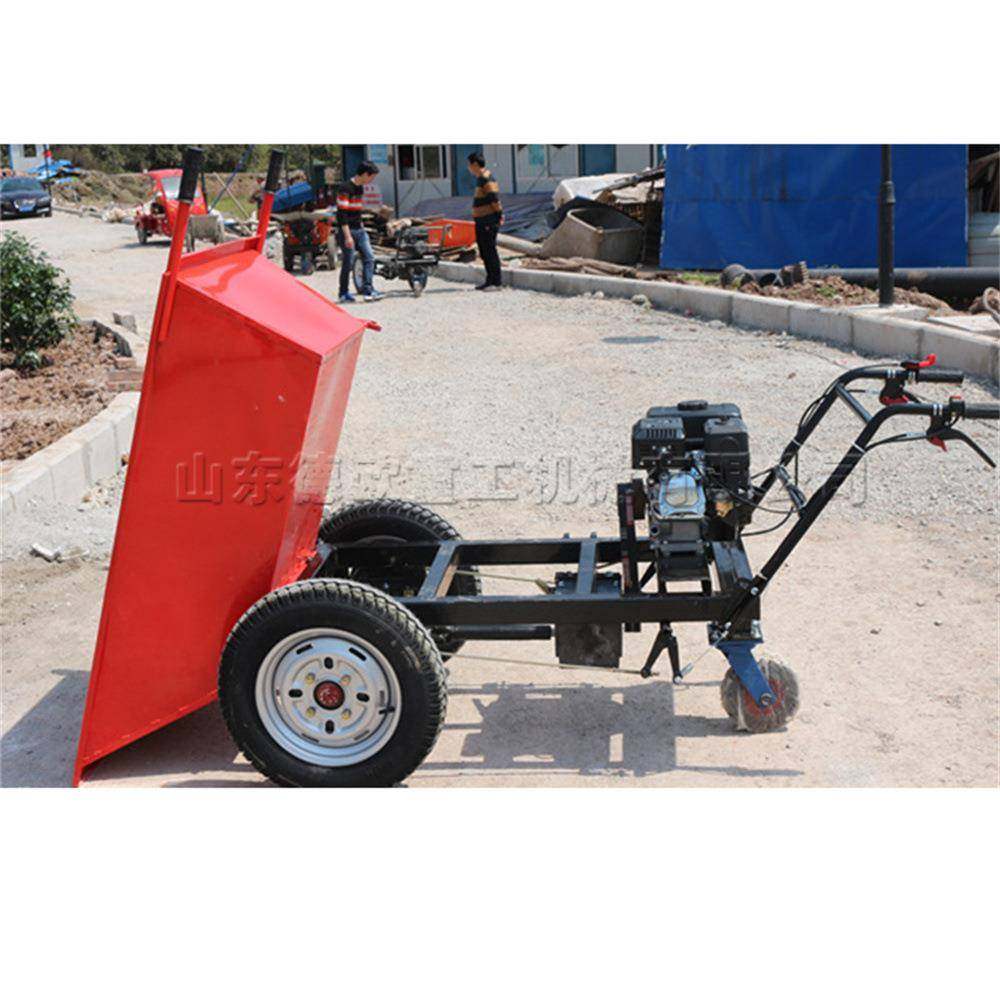 建筑工地两轮手推车 小型农用三轮拉货车 手掀自卸汽油灰斗车,鲜花速递/花卉仿真/绿植园艺,割草机/草坪机,淘宝优惠券,粉丝福利购,淘宝优惠卷