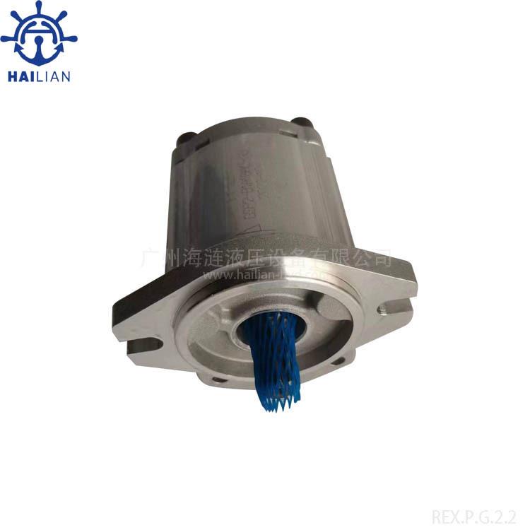 船用甲板克令吊齿轮泵GSP2-B1A16AL-AOGearpump