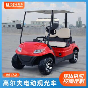 两人座观光车电动高尔夫球车观光车48V交流配置大爬坡四轮电动车