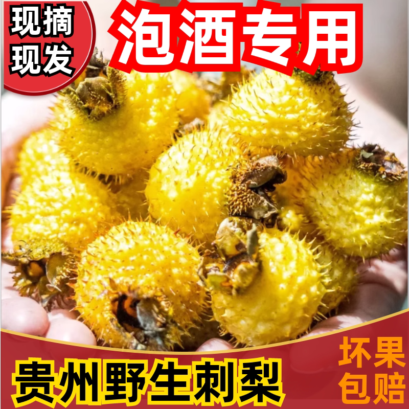 贵州特产刺梨鲜果5斤泡酒泡水天刺力产地新鲜金刺梨鲜果W10官方旗