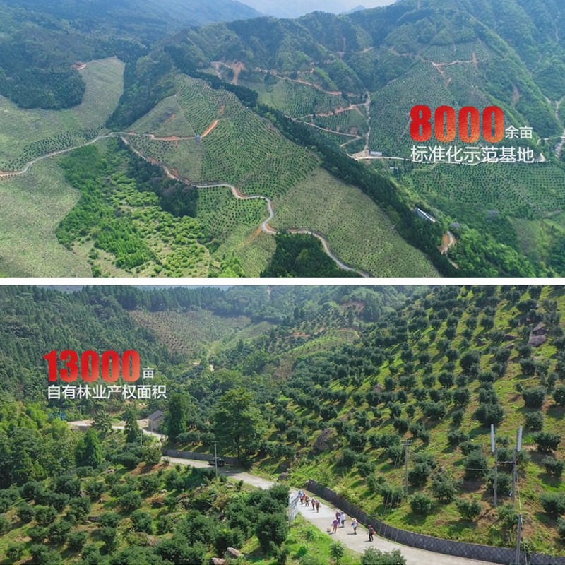 山核桃仁118g*4罐装坚果随心礼红礼盒安徽宁国零食天赐礼盒官方旗