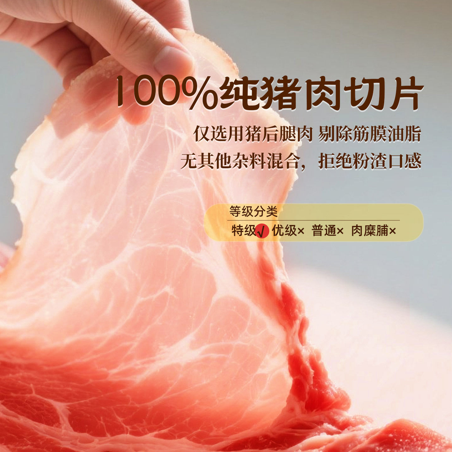 靖江猪肉脯现烤猪肉干香脆猪肉脯
