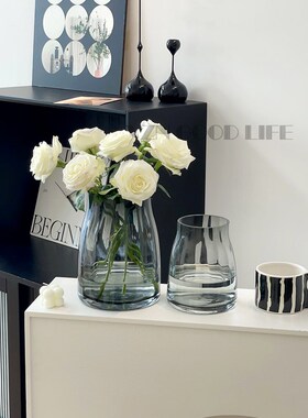 轻奢矮胖玻璃花瓶透明水养玫瑰插花器高级感装饰门店客厅摆件网红