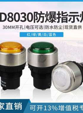 BD8030防爆指示灯AC220380V不锈钢防爆信号灯红绿黄白防爆灯