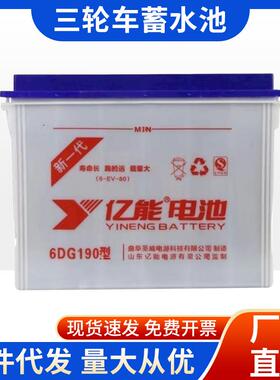 亿能水电瓶6DG180/200/220/300/400型电动三轮四轮铲车工程车电池