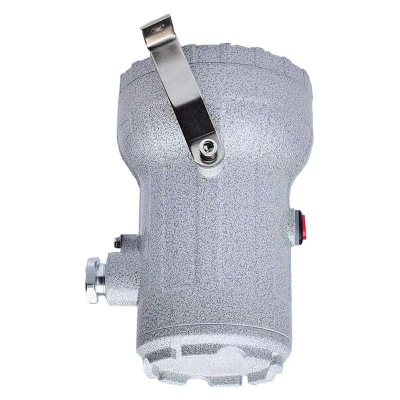 BSD96防爆视孔灯6W 9W  36V