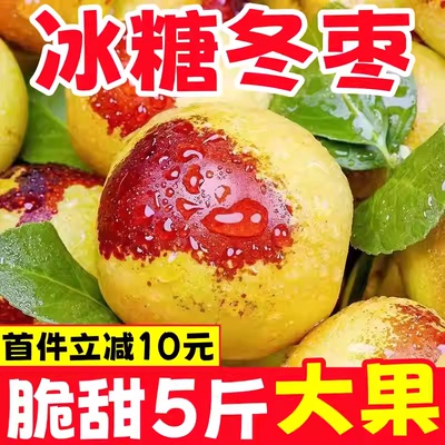 陕西大荔冬枣5斤当季脆甜青枣