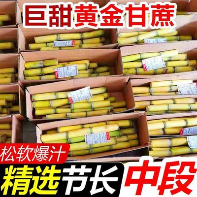 云南黄金甘蔗当季新鲜脆甜