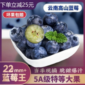 云南蓝莓鲜果特大礼盒当季 高山L25花香新鲜水果孕妇怡颗蓝梅整箱
