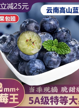 云南蓝莓鲜果特大礼盒当季高山L25花香新鲜水果孕妇怡颗蓝梅整箱