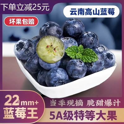 云南蓝莓鲜果特大礼盒