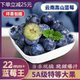 云南蓝莓鲜果特大礼盒当季 高山L25花香新鲜水果孕妇怡颗蓝梅整箱