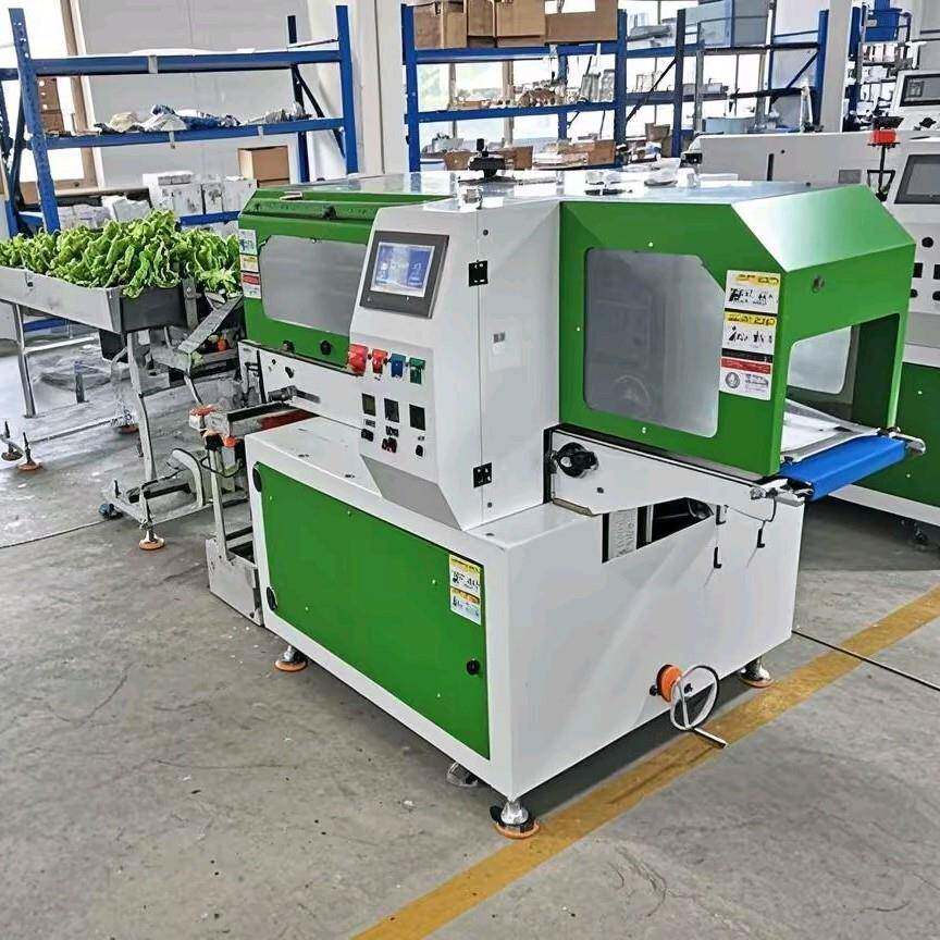 自动冷冻带鱼段枕式包装机速冻海鲜面食冷冻虾鱿鱼花多功能全自动