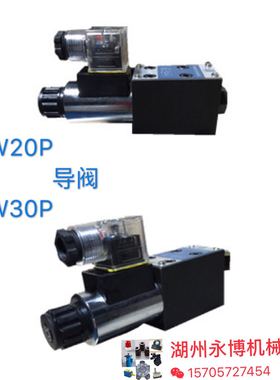 注塑机配件 熔胶阀 预塑阀SW20P,SW30P导阀 先导阀  小电磁阀