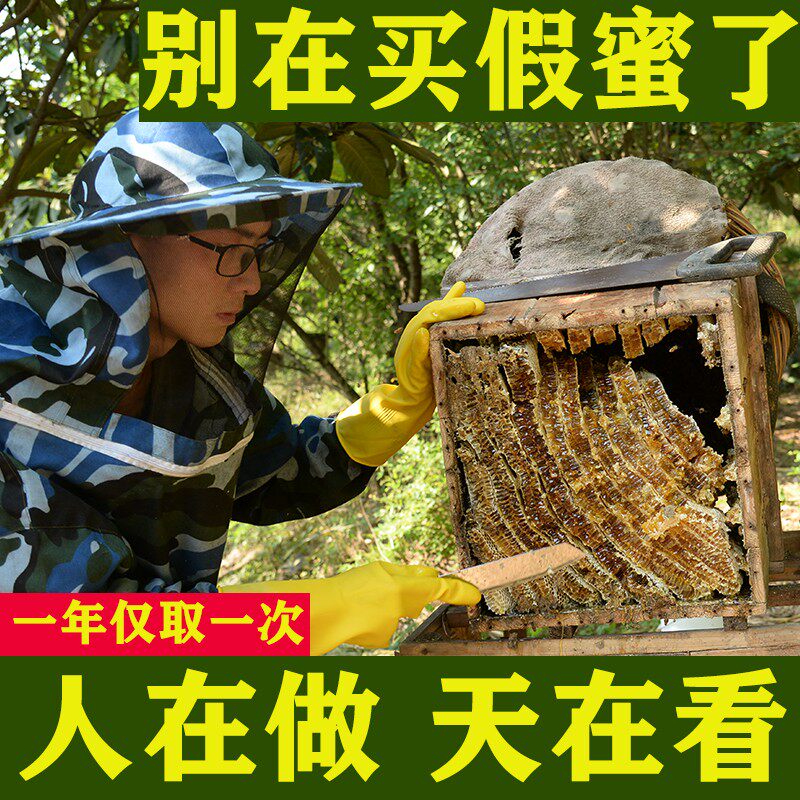 一年仅取一次木桶土蜂蜜农家自产成熟百花蜜深山成熟原蜜蜂蜜