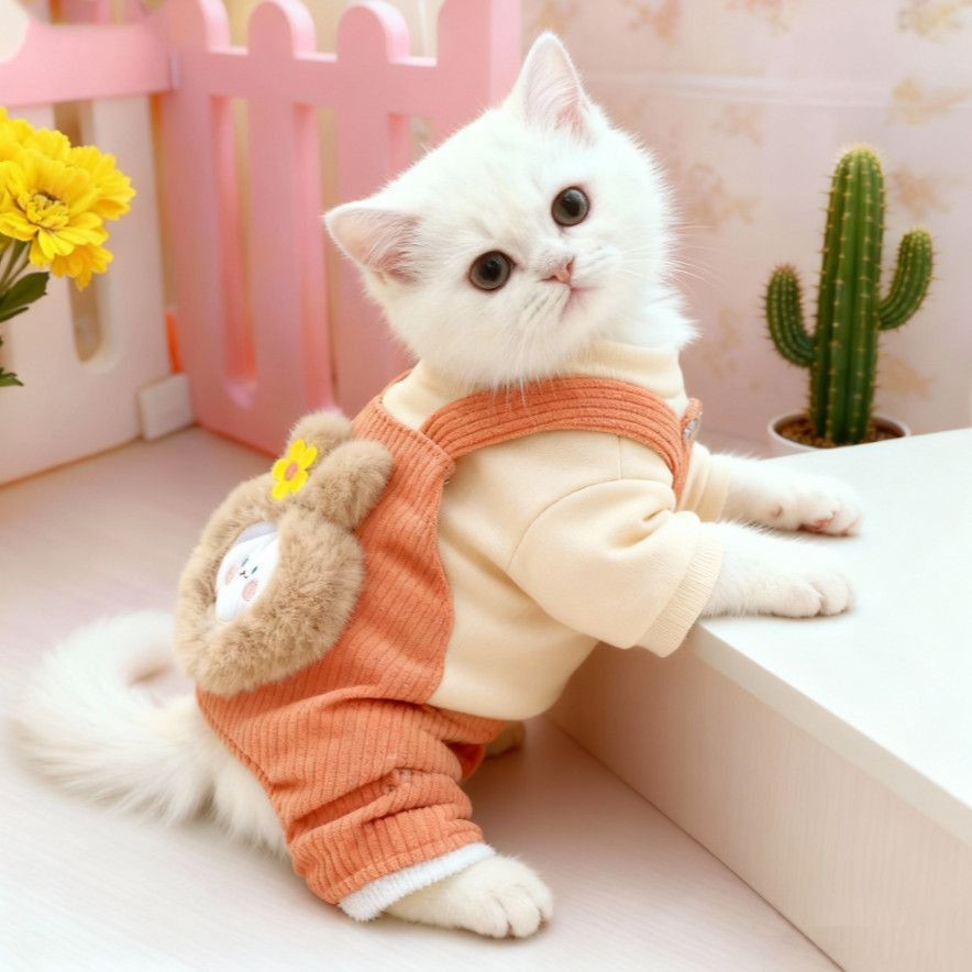 小猫衣服冬装四脚秋冬保暖棉衣狗狗季洋气小型猫狗专用加厚新款小