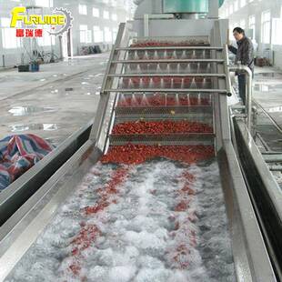 辣椒清洗机山野菜清洗设备蕨菜清洗气泡清洗机刺五加茶