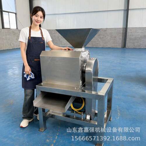 大型山楂荔枝果核分离机西梅芒果去核打浆机樱桃李子工业制浆机