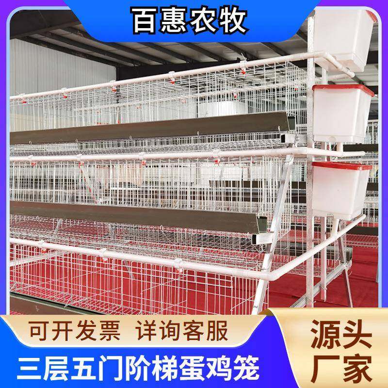 养殖场用层叠式三层五门绿槽蛋鸡笼设备热镀锌多层阶梯式笼养鸡设,智能设备,其他智能设备,淘宝优惠券,粉丝福利购,淘宝优惠卷