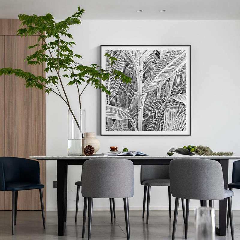 现代简约玄关书房装饰画抽象黑白线条植物客厅挂画餐厅文艺壁画
