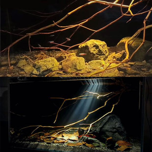 买一送一鹿角枝天然树枝溪流缸原生缸南美缸造景树枝鱼缸造景装饰