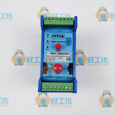 轴位移变送保护表TR4101-A02-E00-G00-S00变送器派利斯