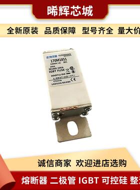 现货170M1851 170M4112 巴斯曼低压快速熔断器型号齐全 标准封装