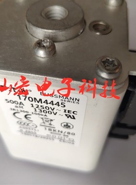 高压/低压熔断器170M7028z 170M3975 170M2011