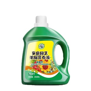 营养液植物通用型花肥发财树富贵竹绿萝水培盆栽家用花卉养花肥料