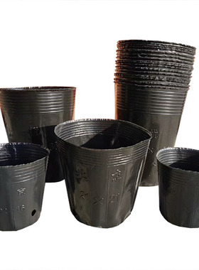 树苗袋育秧盆营养钵塑料黑色育苗盆育苗杯西瓜杯营养钵杯一次性