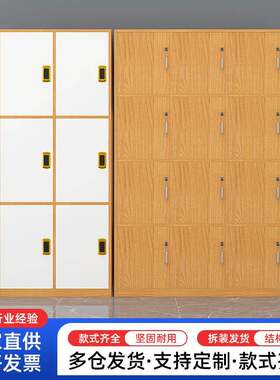 木质更衣柜浴室木制换衣储物柜健身房带锁板式存放柜物品收纳柜子