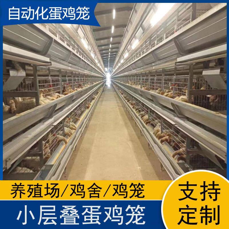 热镀锌大层叠蛋鸡笼集蛋一体全自动养殖设备肉鸡笼厂家生产