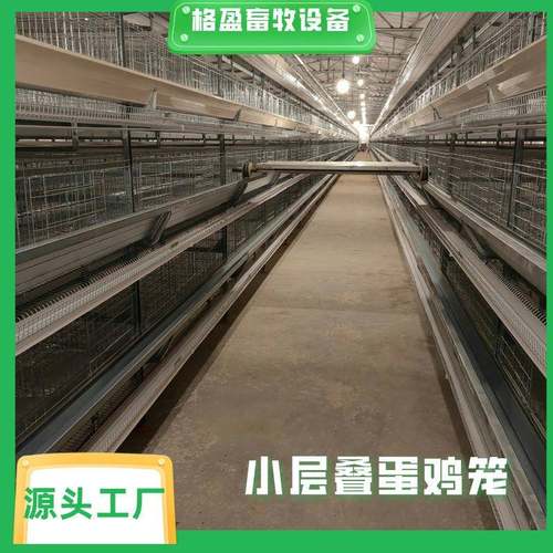 全自动养殖设备H型层叠式蛋鸡笼养鸡场热镀锌防腐耐用方便安装