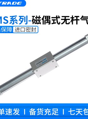 磁偶式无杆气缸RMS20X100/200/300/400/500/600~缓冲调节滑台型