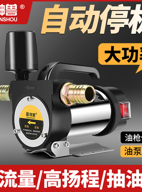 自动启动停泵电动抽油泵p12V24V220V伏自吸泵油泵柴油泵加油机抽