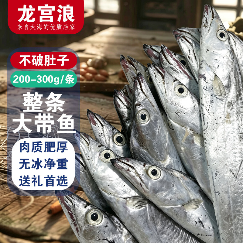 龙宫浪新带鱼新鲜冷冻野生刀鱼2带鱼