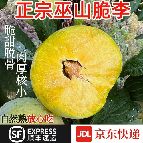巫山脆李脱骨李子顺丰空运包邮