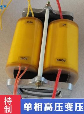 单相高压变压器220V转1500V2000V3000V升压变压器10KV高压试验