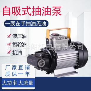 机油齿轮泵电动交流抽油泵220v便携式自吸液压泵输油水泵