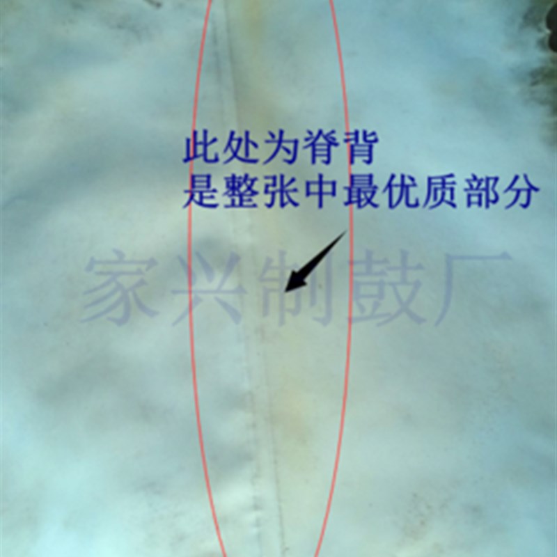 整张去毛羊皮本色羊皮鼓皮优质非洲鼓S皮整张非洲鼓皮