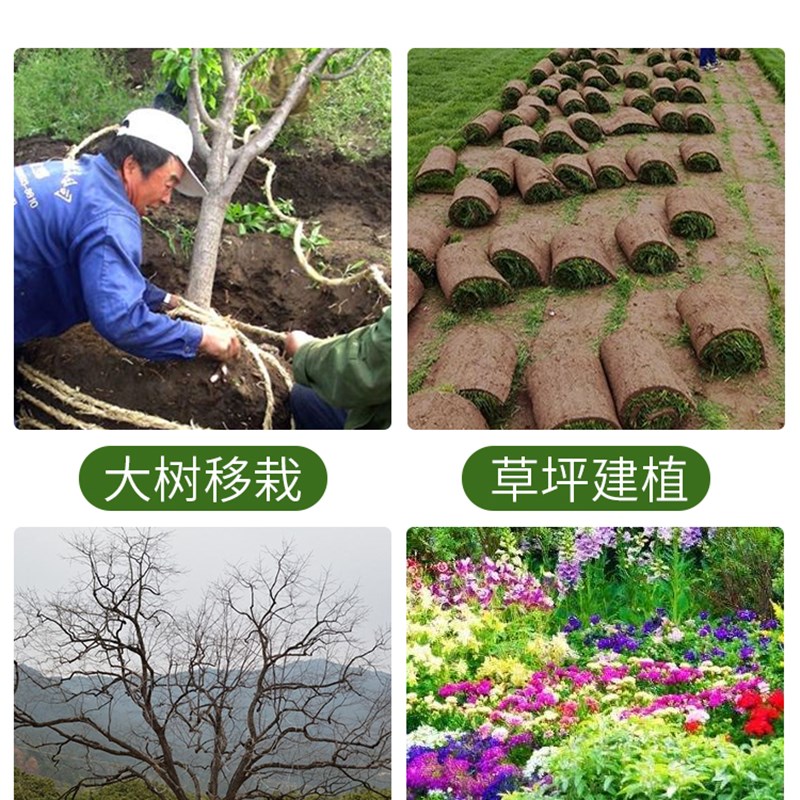 劳恩格润大树生根液补营r养复壮生根快多生根大树移栽生根草坪建