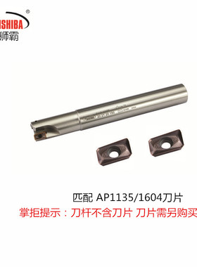 直杆直角铣刀杆BAP300R/400R/10/12/14/15/16/20/25/32装AP刀片