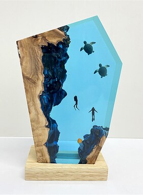 实木树脂摆件家居饰o品透明海龟海洋微景观小夜灯情侣中秋节日礼