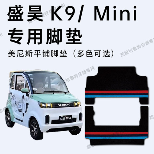 盛昊k9/mini电动车专车专用脚垫